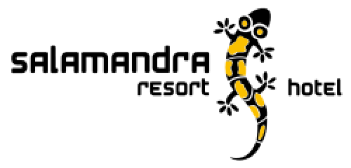 logo icon