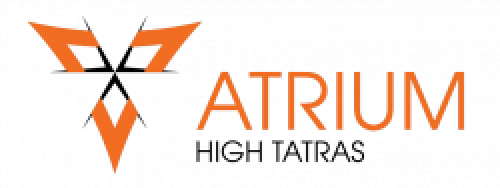 logo icon