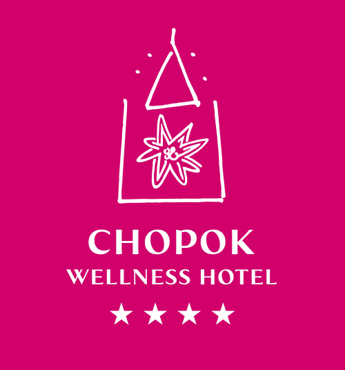 logo icon