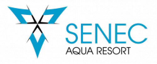 logo icon
