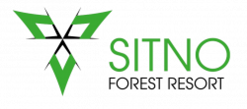 logo icon