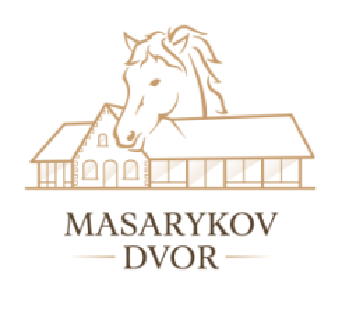 logo icon