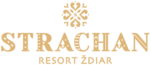logo icon